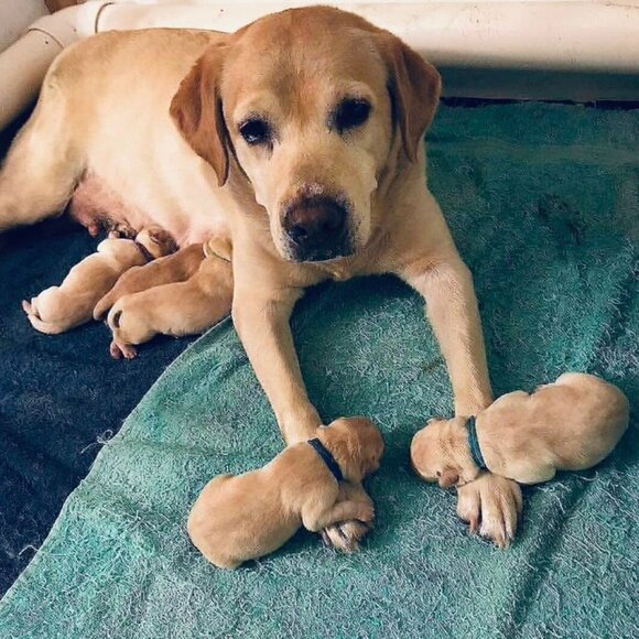 SMILE for the DAY!!! - Picture 4 of 12